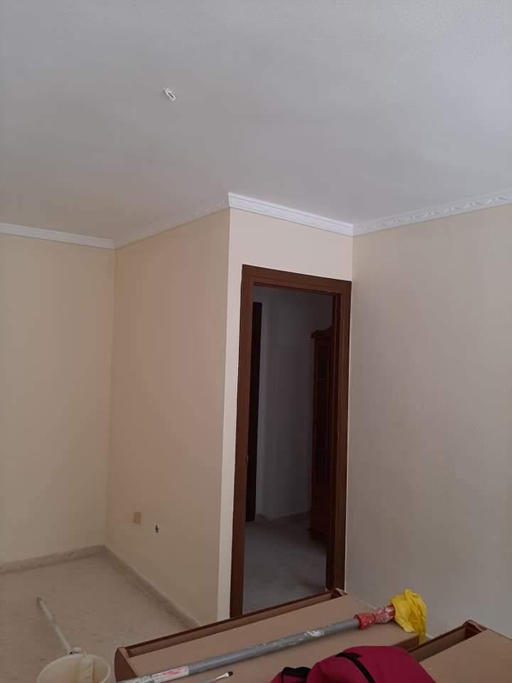 Pinturas y manitas ( pintura y multiservicios )