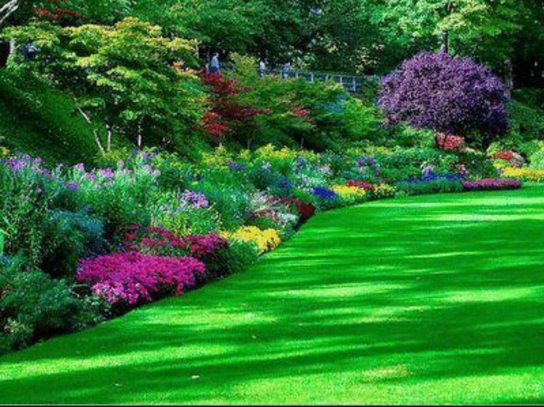 Clover Jardines y Hogares SCA