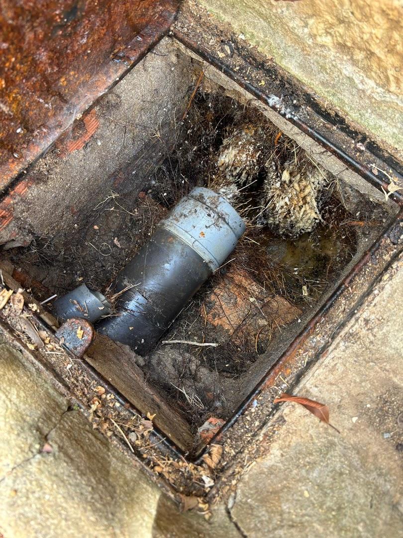 Desatoros Pizarro Estepona