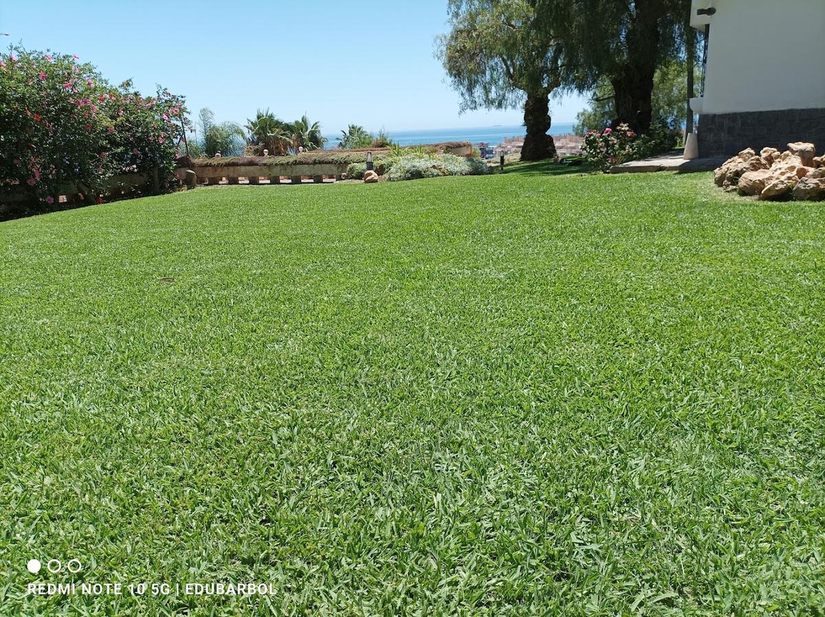 Bárbol Gardengrass Sl