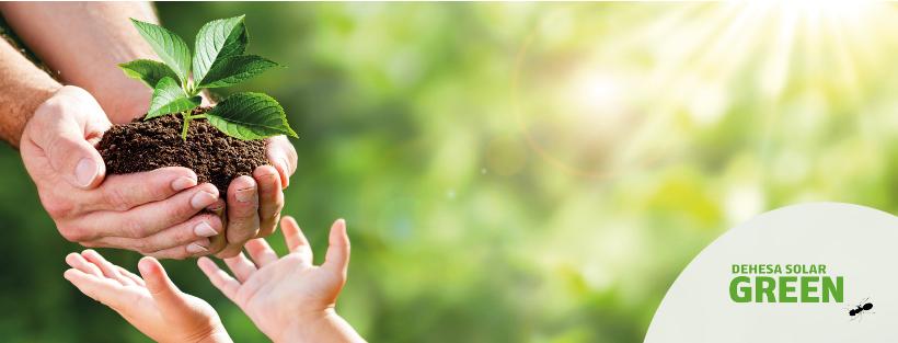 Dehesa Solar Green