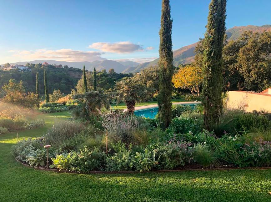 Veronica de Torres Landscape Services