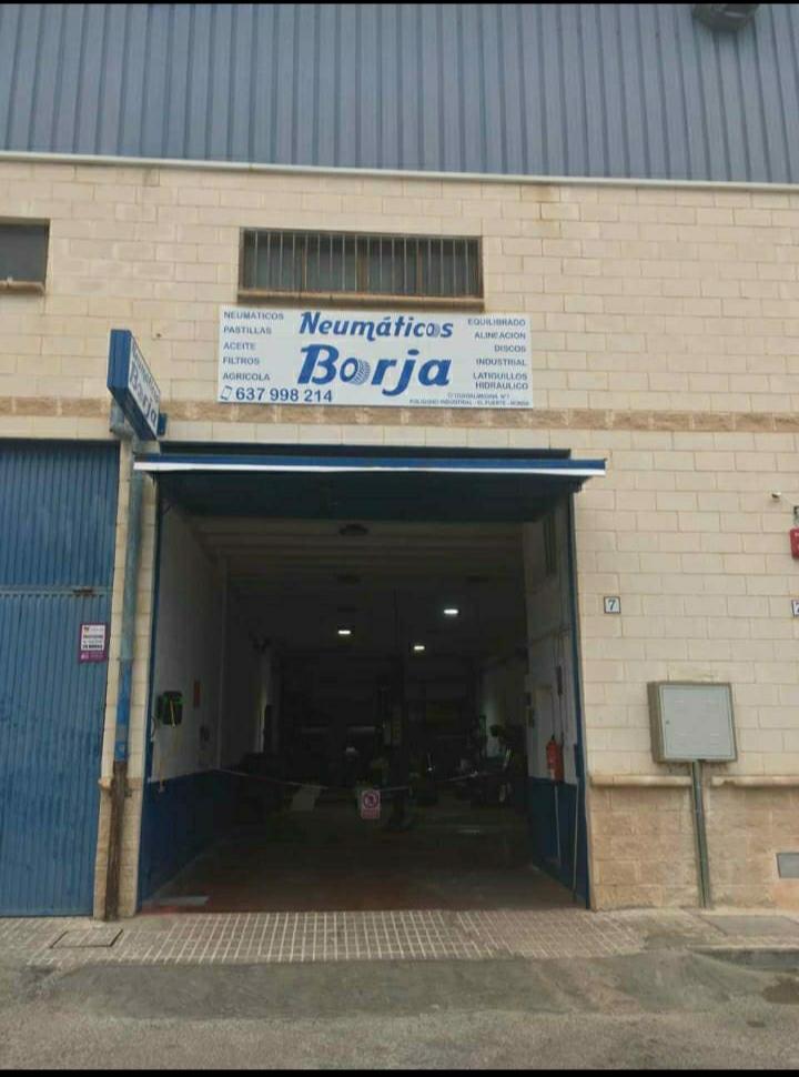 Neumáticos Borja