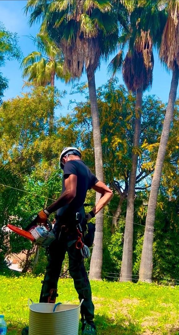 Jardinero y mantenimiento en la Costa del Sol🌴 THE GARDEN BOY – Poda de palmeras, arboles y sistemas de riego