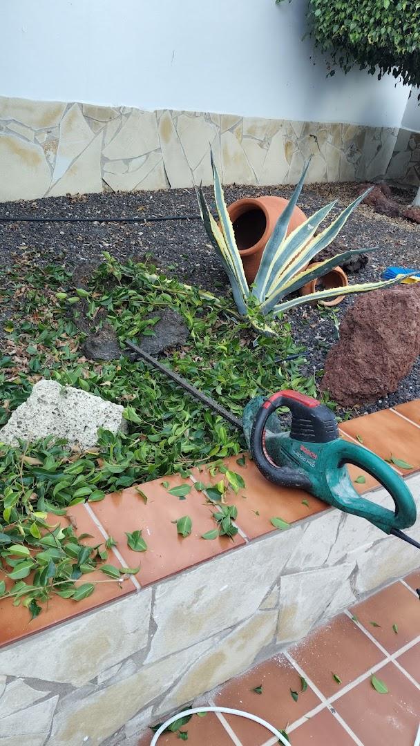 Alfredo Pool Garden Maintenance