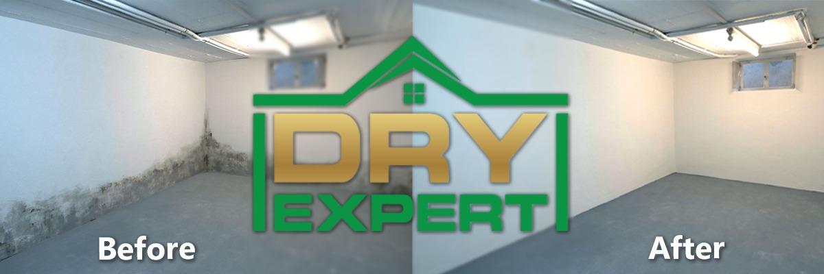 DRY-EXPERT
