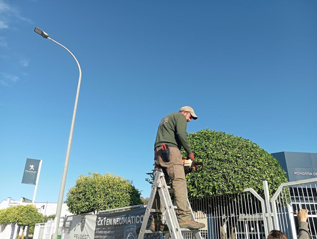JARDINERÍA EL ALMENDRAL