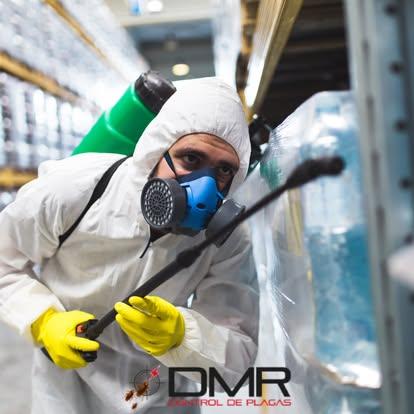 Desinfecciones y Control de Plagas DMR en Vélez Málaga y Málaga