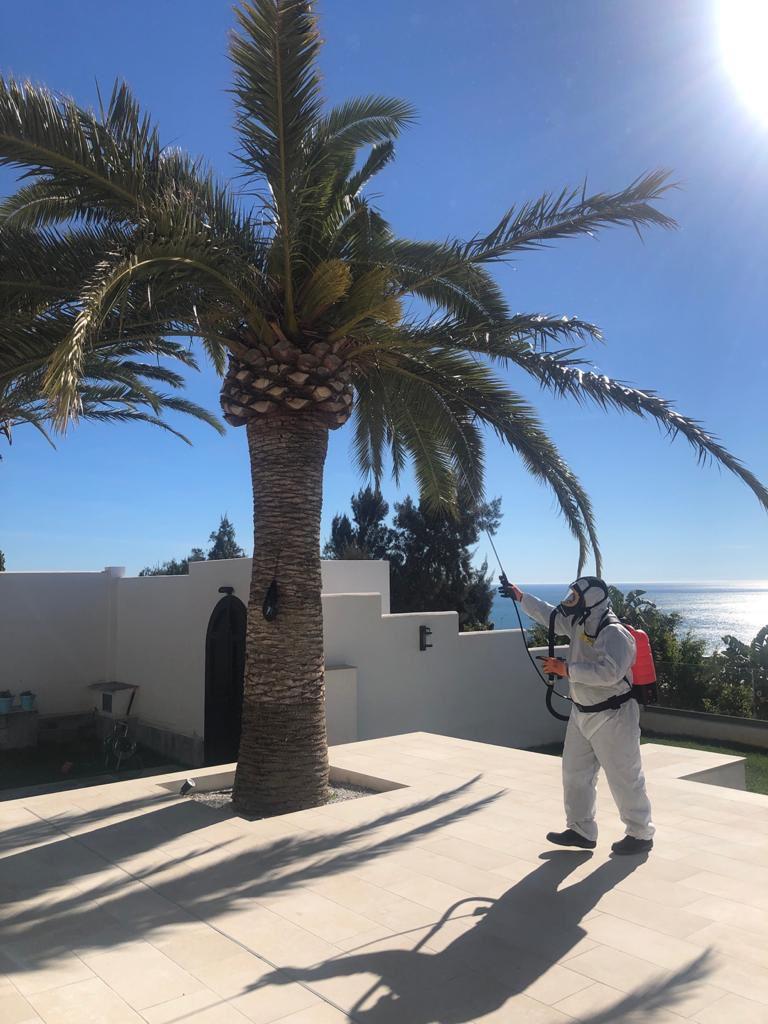 Control de Plagas Marbella