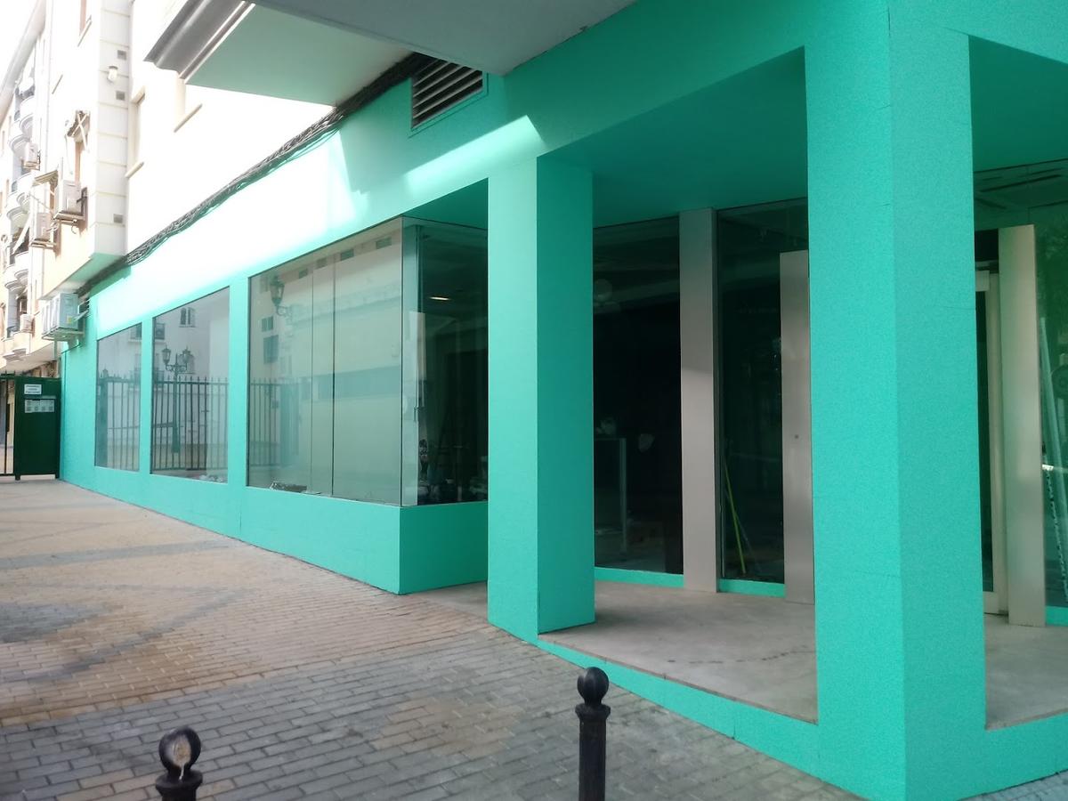 El Pintor de la Axarquía