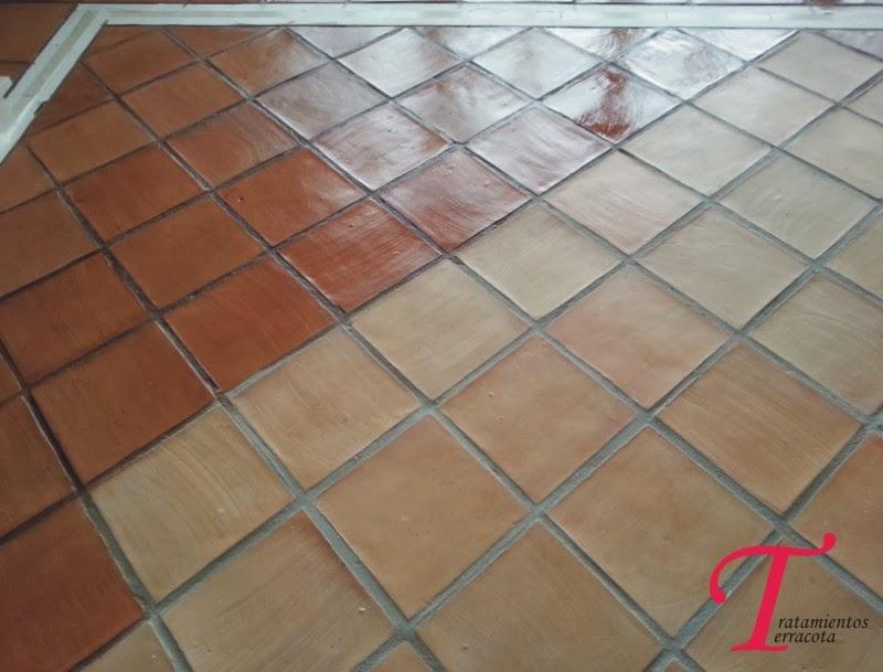 Tratamientos Terracota : Limpieza y tratamientos de suelos de barro