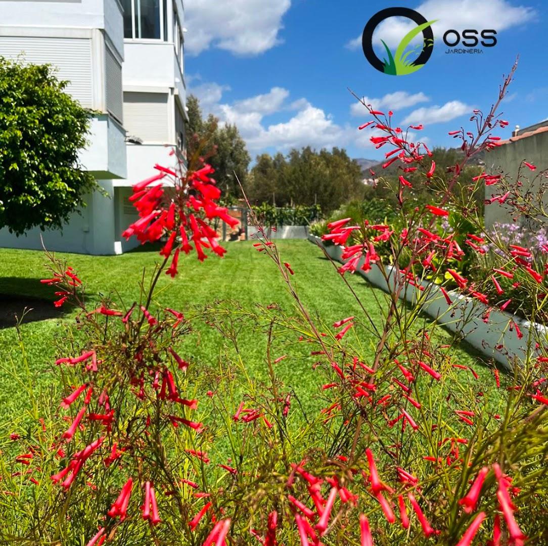 Oss Jardineria