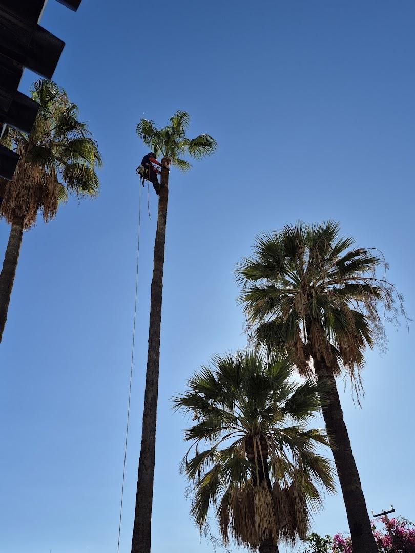 Sures Construcción y Reformas Almuñécar