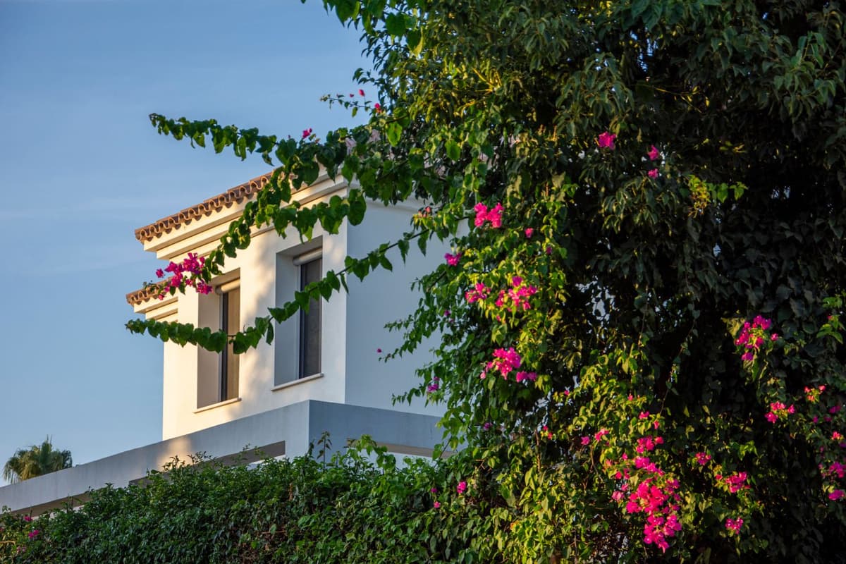 A whitewashed Costa del Sol home in golden-hour light